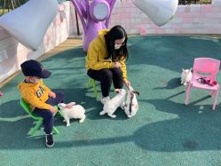 -季高兔窝窝亲子园(上海薰衣草公园店)