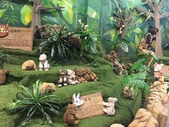 -济州岛泰迪熊博物馆