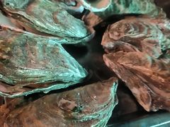 -八一湛江生蚝(文明东路总店)