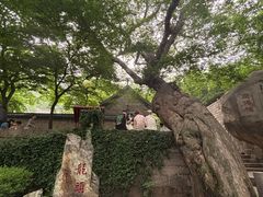 -青岛崂山太清宫