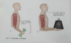 点击看大图 -昕孕瑜伽·孕妇瑜伽·产后修复