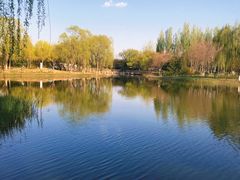 -大兴滨河森林公园