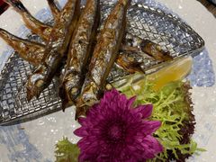 -古田居·特色寿司料理(骏欣中心店)