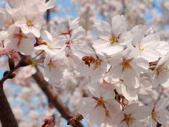 -山东艺术学院(长清校区)