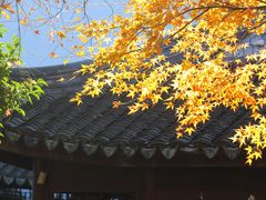 -秋霞圃