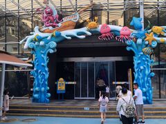 -海合安成都极地海洋公园