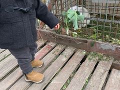 -青浦采草莓天天草莓园