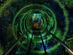 -梵高星空艺术馆(北京旗舰店)