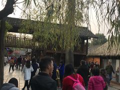 -秀丽东方