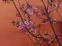 -乌山风景区
