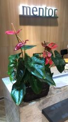 -曼都发型·臻选