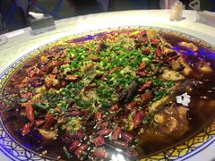 来凤鱼-新概念来凤鱼(璧山店)