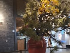 -湊湊火锅·茶憩(和平大悦城店)