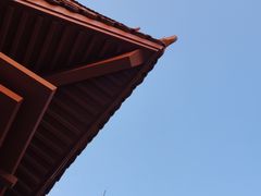 -深圳仙湖植物园