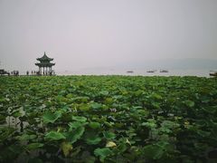 -西湖游船