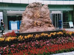 -西安市人民医院(大差市院区)