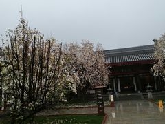 -大慈恩寺(大雁塔)