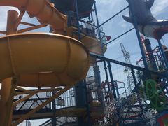 景点-苏州乐园森林水世界