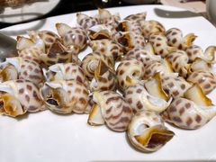 花螺-協成海鮮火鍋(老店)