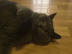 -壹人壹像工作室(购物公园店)