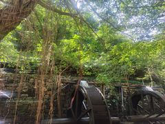 -四会奇石河风景区