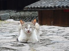 -楠溪江风景名胜区