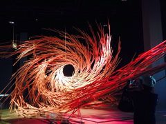 iphone_upload_pic-溱湖国家湿地公园