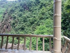 -南海湾森林生态园