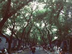 -北京国子监胡同