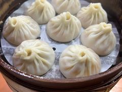 -莱莱小笼·乔艾