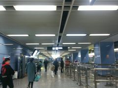 -大龙山(地铁站)