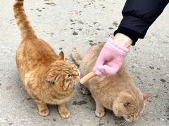 -终南山南五台景区