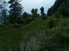 -青林口古镇