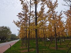 -汉长安城未央宫国家考古遗址公园