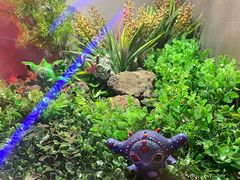 -首钢一高炉·SoReal科幻乐园