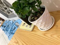 -小菜园新徽菜(溧阳万达店)