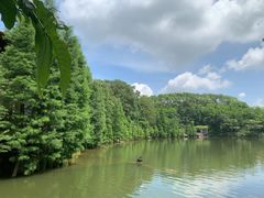 -广州市帽峰山景区