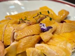 -明本湛江鸡•海鲜小厨(陈家祠店)