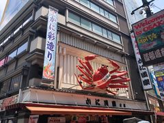 -蟹道乐(道顿堀本店)