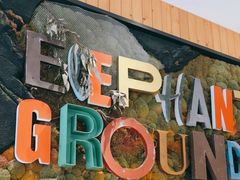 -Elephant Grounds(STARSTREET)