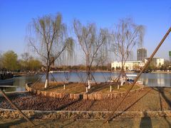-西海子公园
