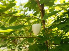 -丹东天桥沟景区