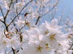 -广富林郊野公园