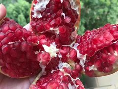 -老方牛味馆