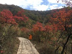 -云台山风景名胜区