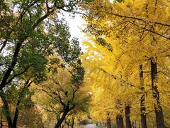 -国家植物园南园