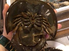 -芭提雅Amporn Seafood自助餐厅