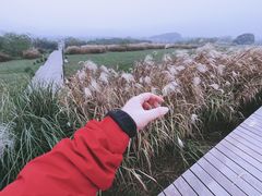 -良渚古城遗址公园