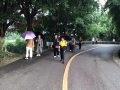 -张坝桂圆林公园
