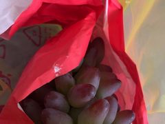 -马陆小张葡萄园农家乐